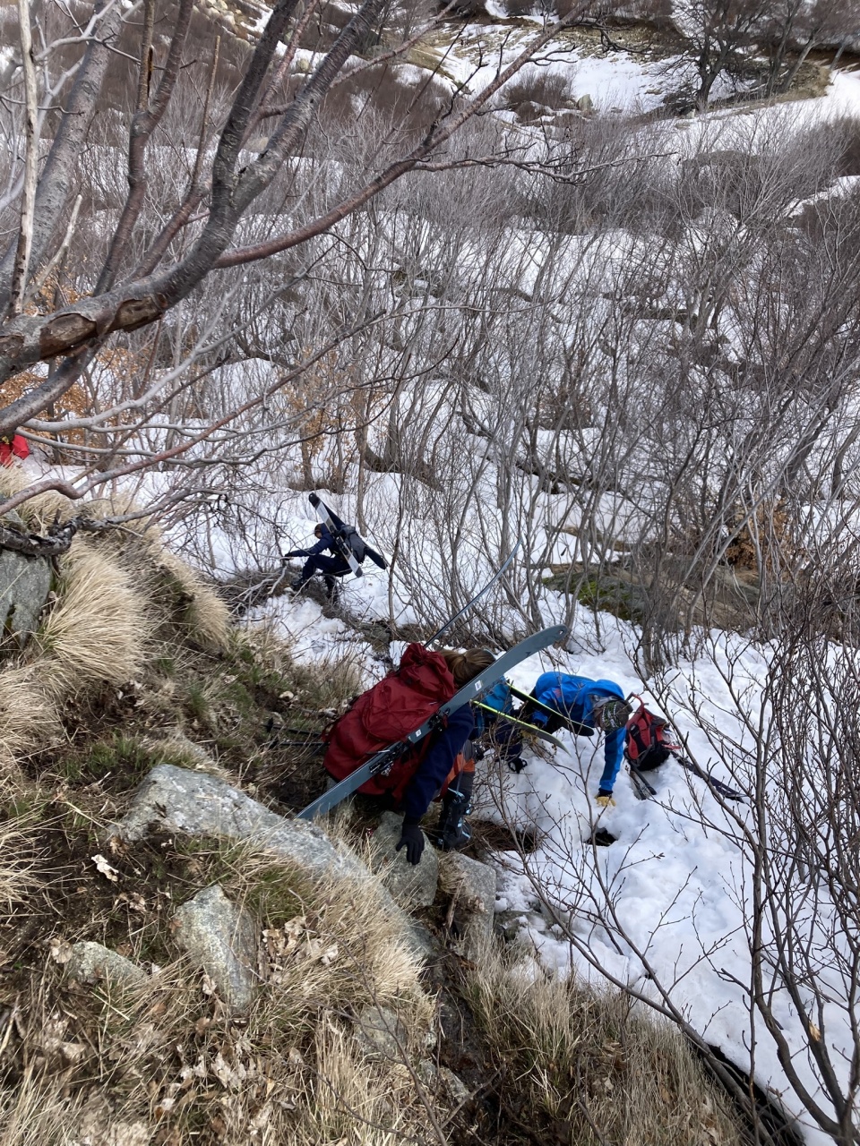 PP 2025 x SY Mister vainqueur photo CCY DR (71)