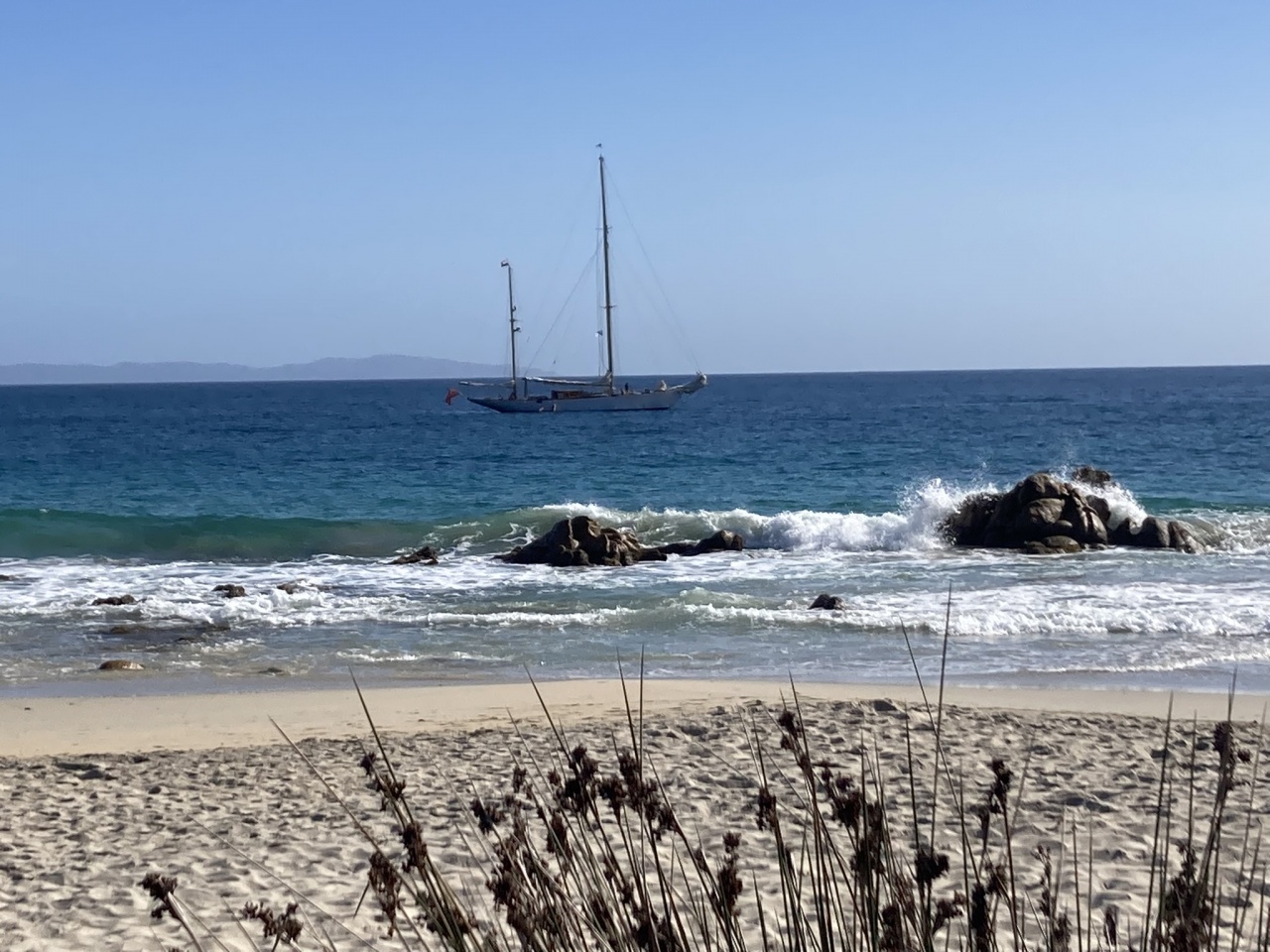 PP 2025 x SY Mister vainqueur photo CCY DR (78)